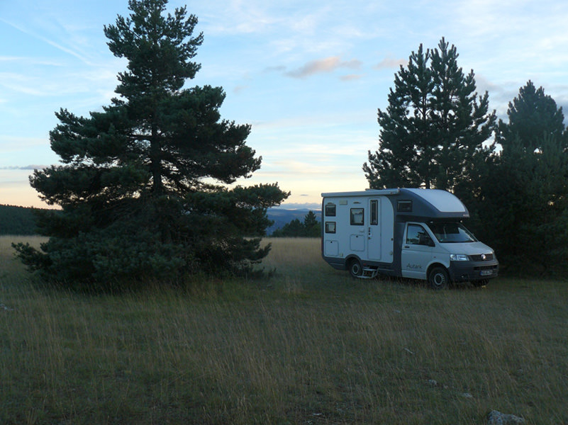 P1020554_med.jpg