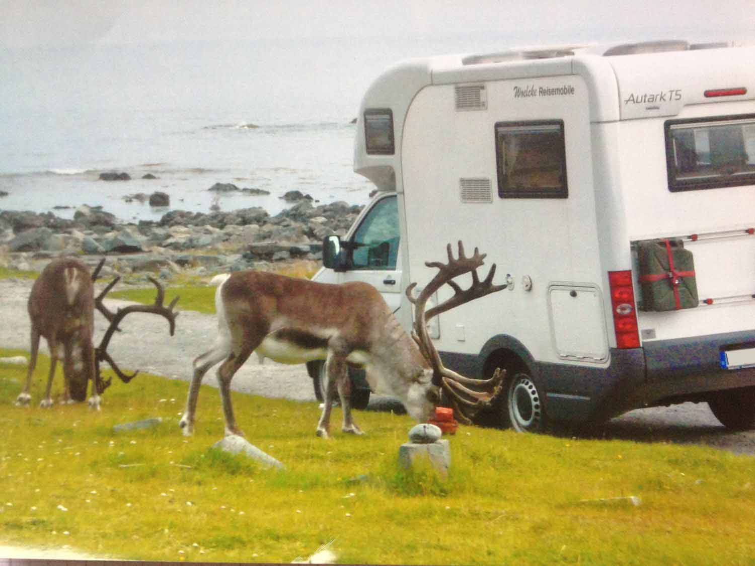 Norwegen-russ.Eismeer.JPG
