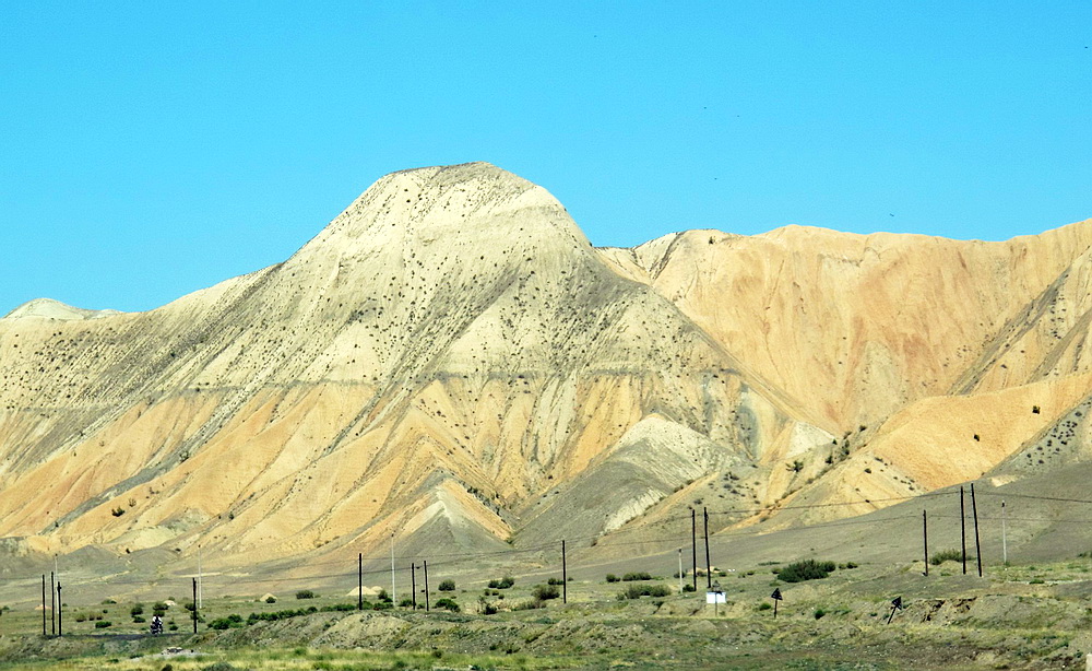 IMG_5637.jpg