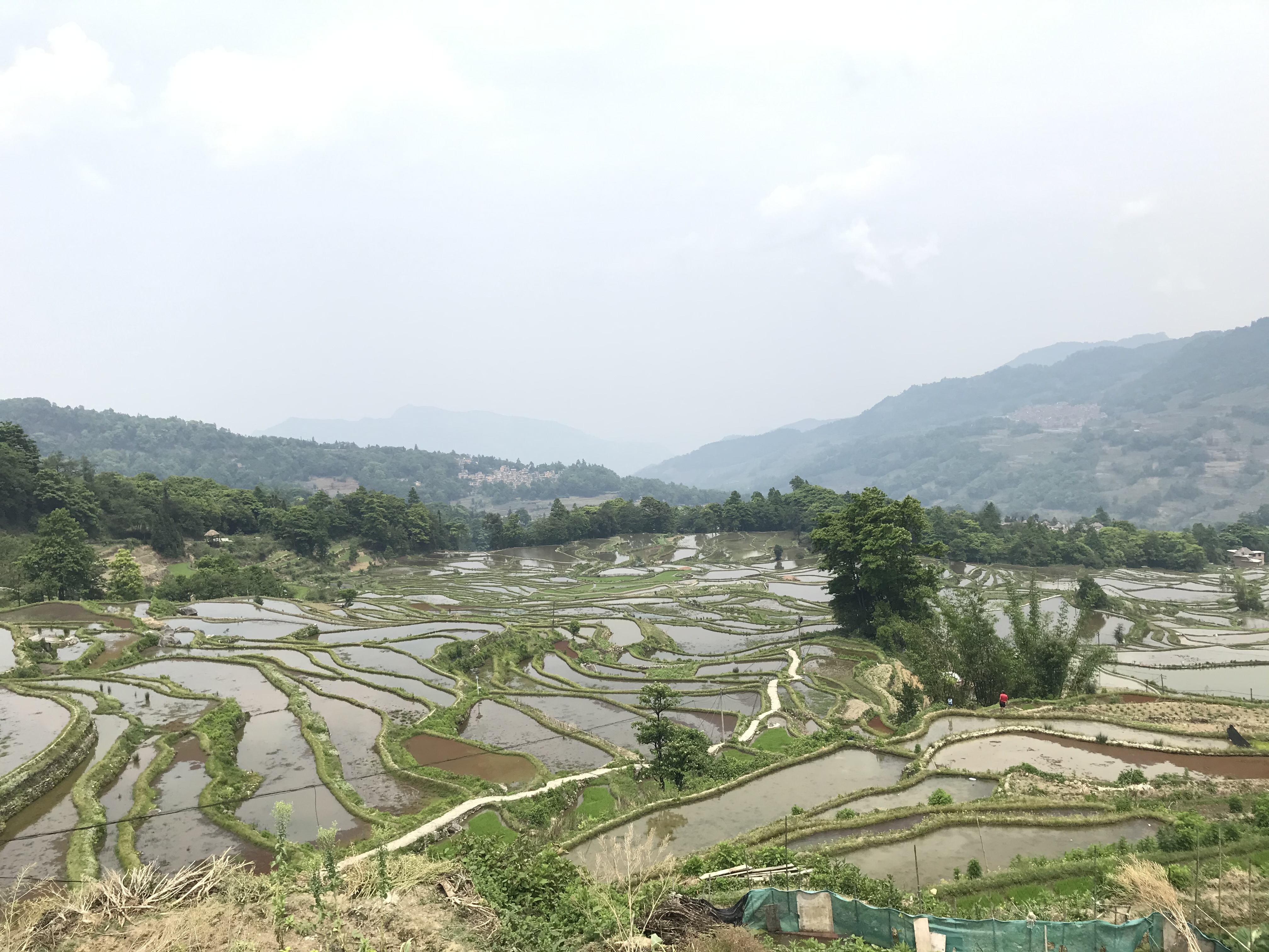 6703A994-C4CC-419C-A4E7-CF2E3F10375D.jpeg