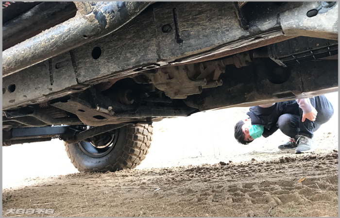 四哥好像发现了什么