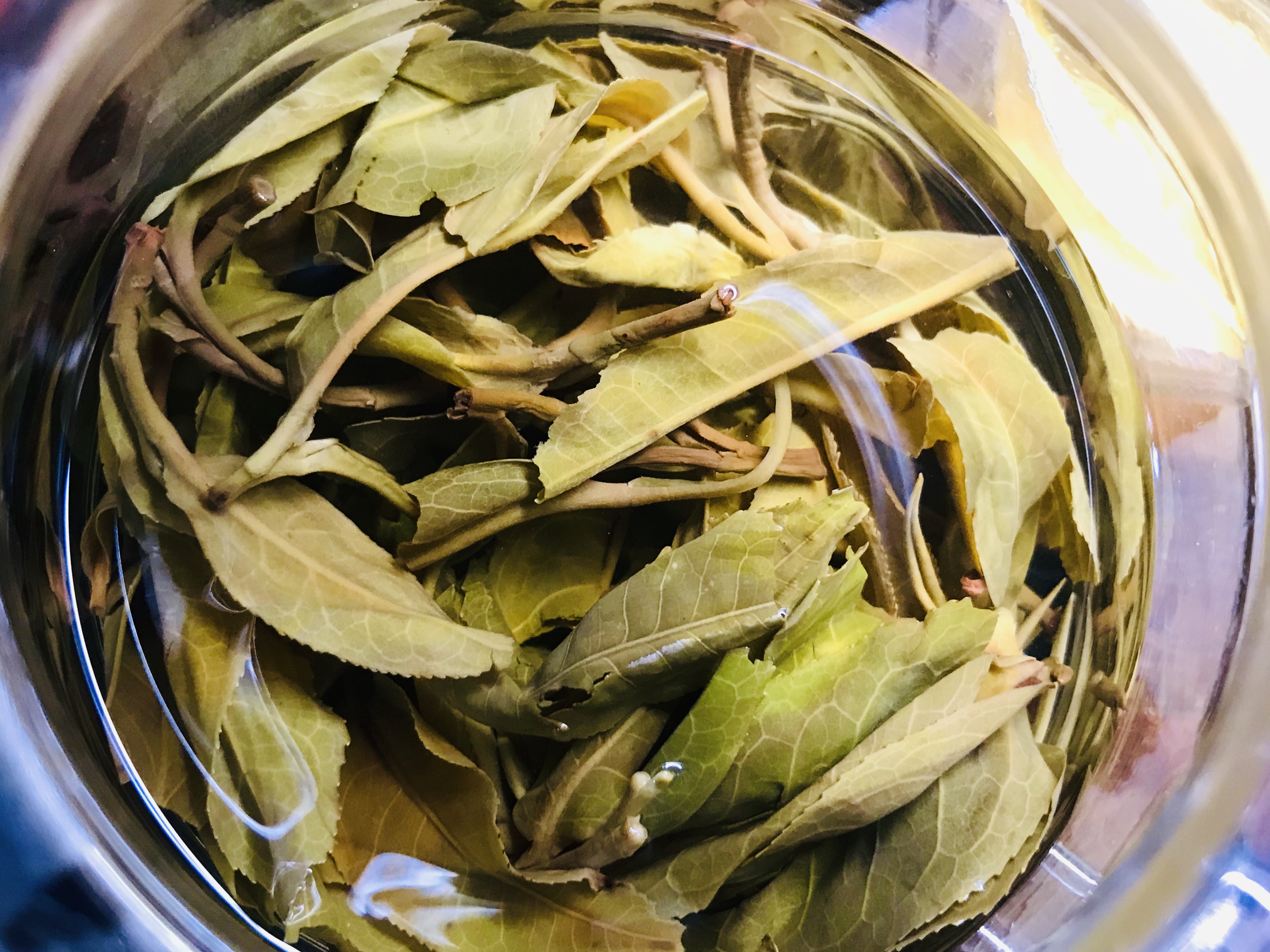 完全舒展开的叶片