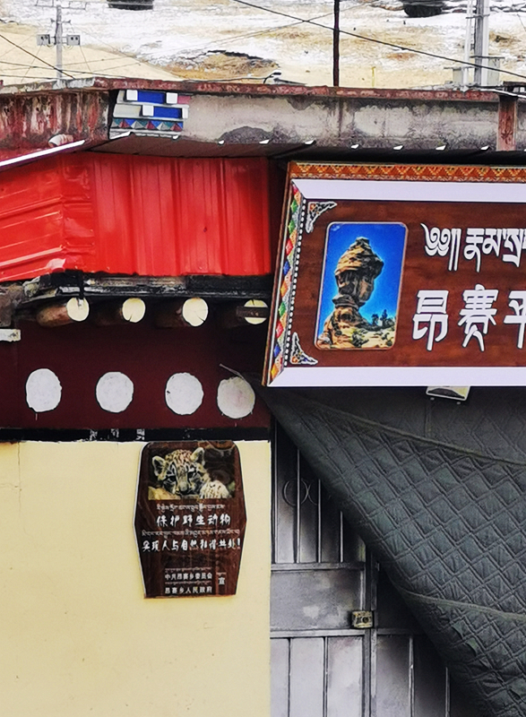 IMG_20210507_101859_副本.jpg