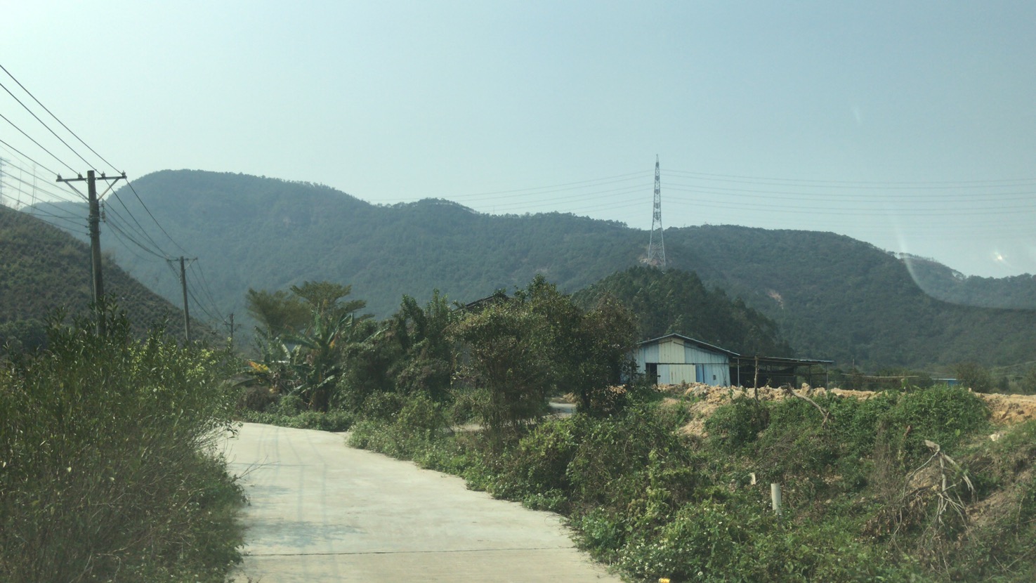 前面就是大雁山