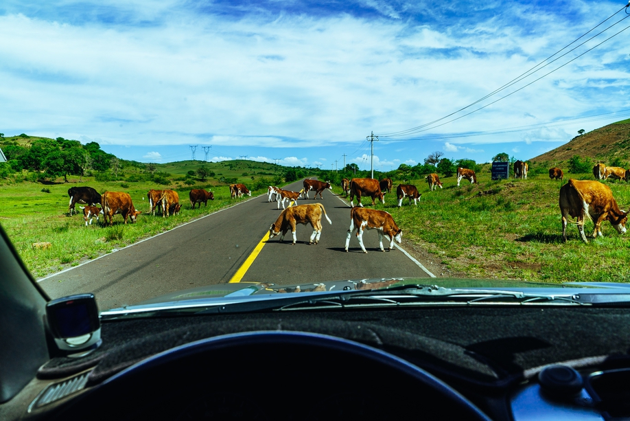 当天从多伦开到科尔沁右翼中旗，没走高速就一路看看