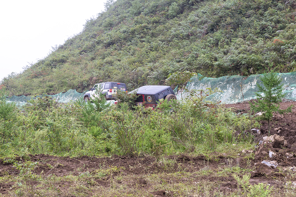 DSC_1566.jpg
