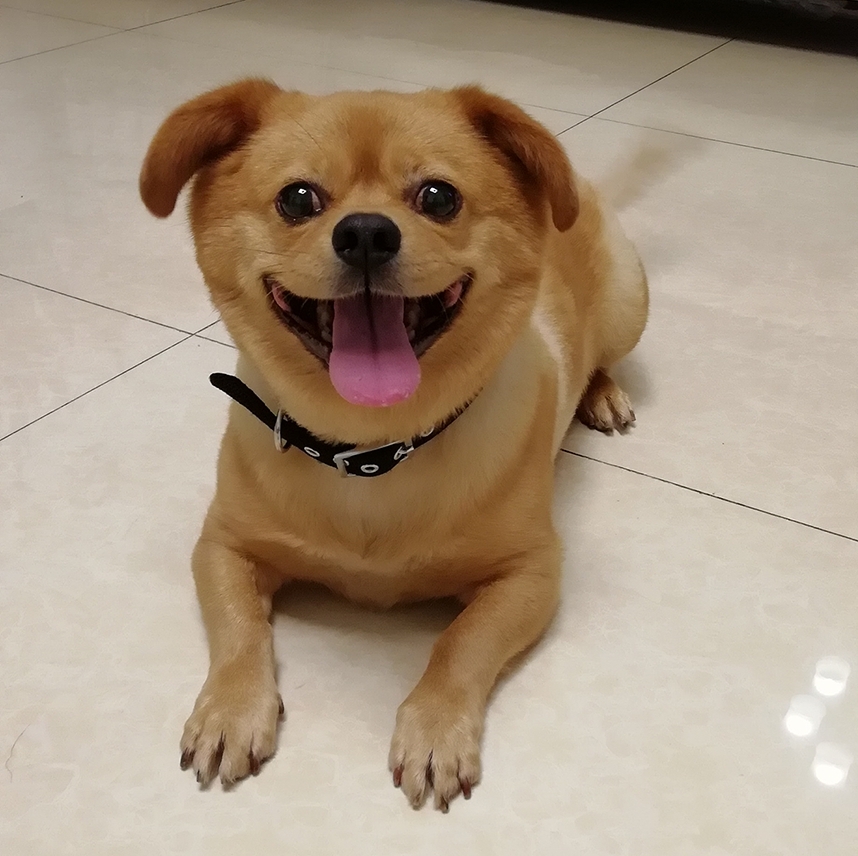 微信图片_20191110195757.jpg