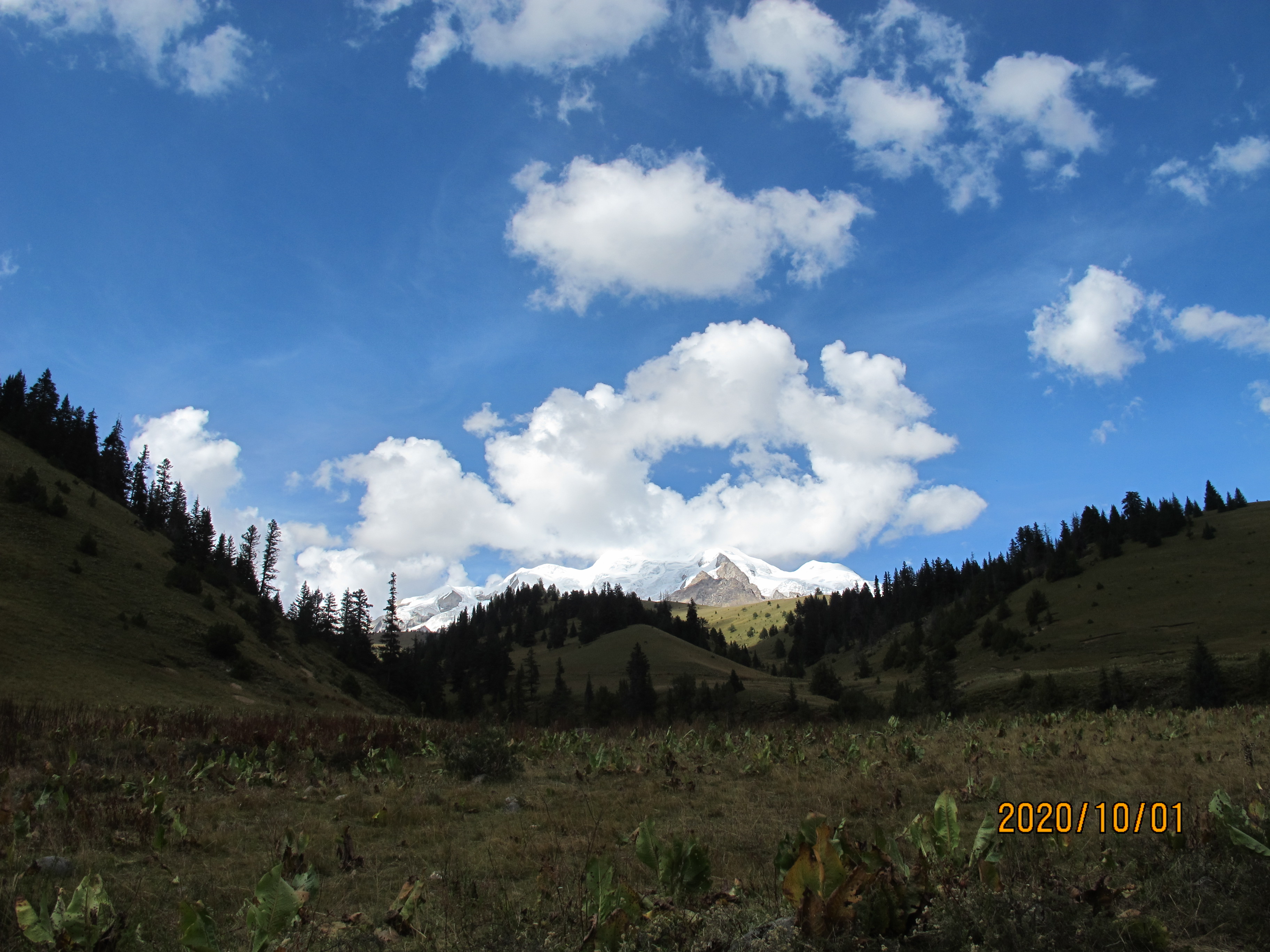 IMG_9840.jpg