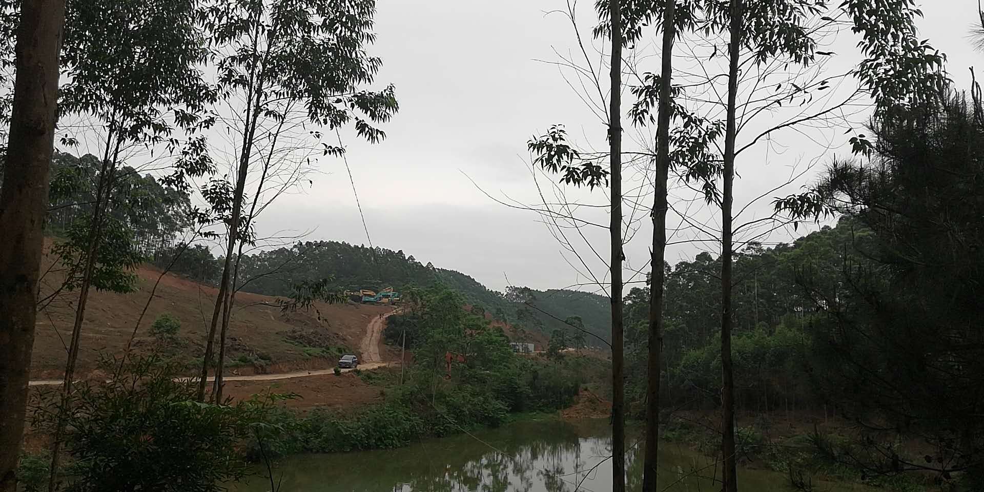 微信图片_20200412105358.jpg