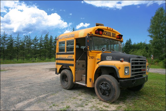 funny-bus-images20.jpg