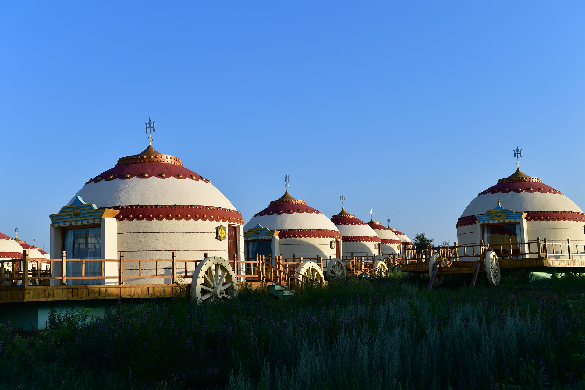 DSC_4303.jpg