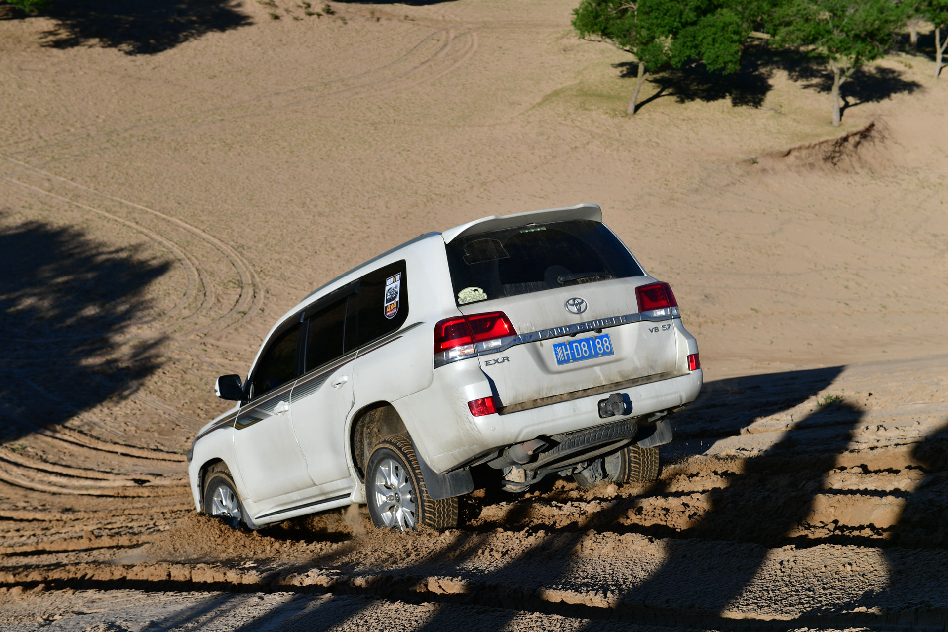 DSC_4602.jpg
