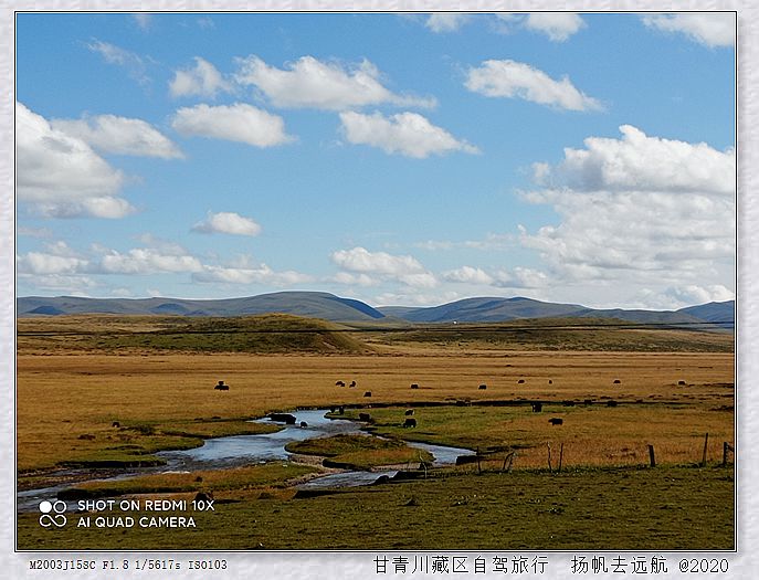 IMG_20200918_163549_副本.jpg
