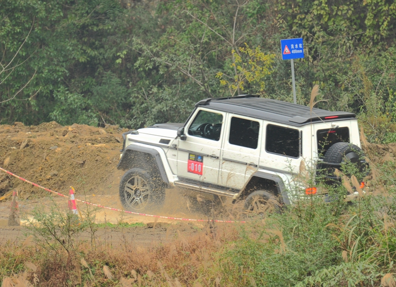 DSC_5236.JPG
