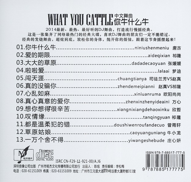 你牛什么牛[中文舞曲]02.jpg