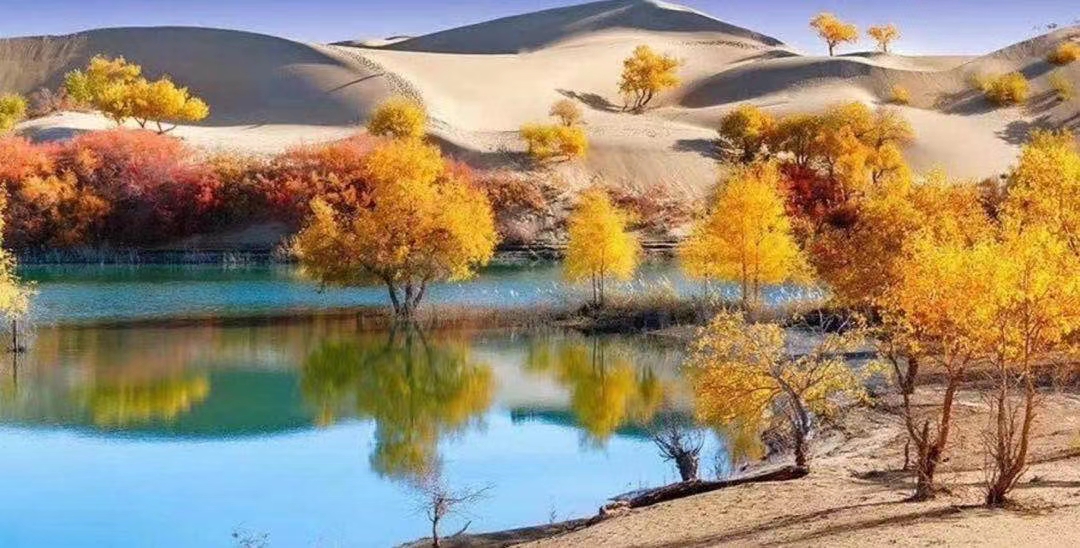 能到胡杨林的车已经不多了，人少风景美，独有的大漠风光让人心生豪情。