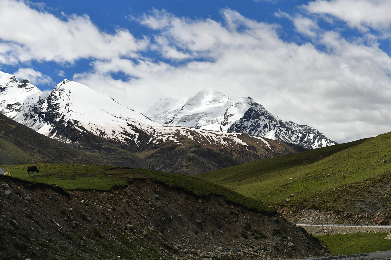 DSC_6991.jpg