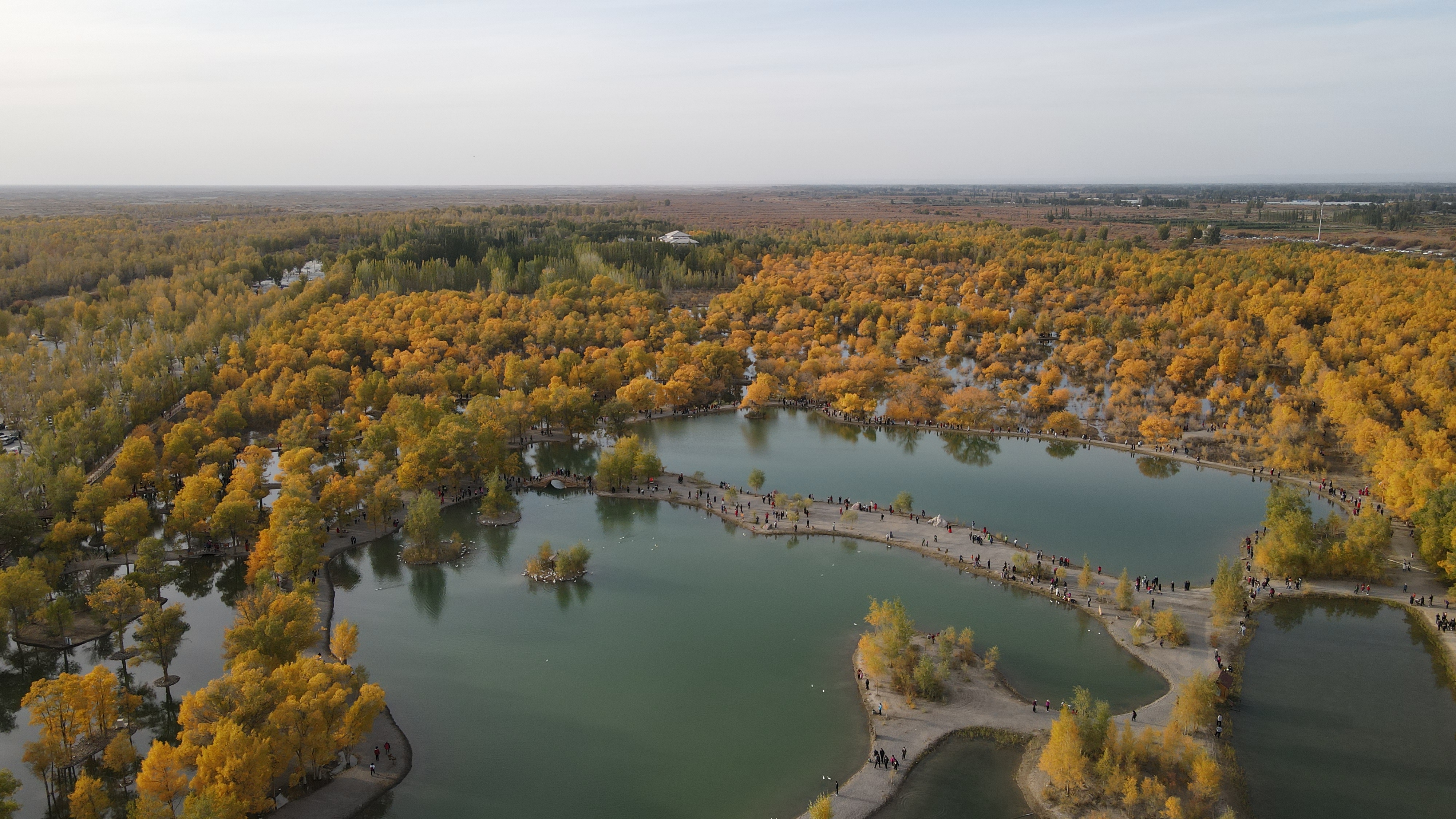 DJI_0077.JPG