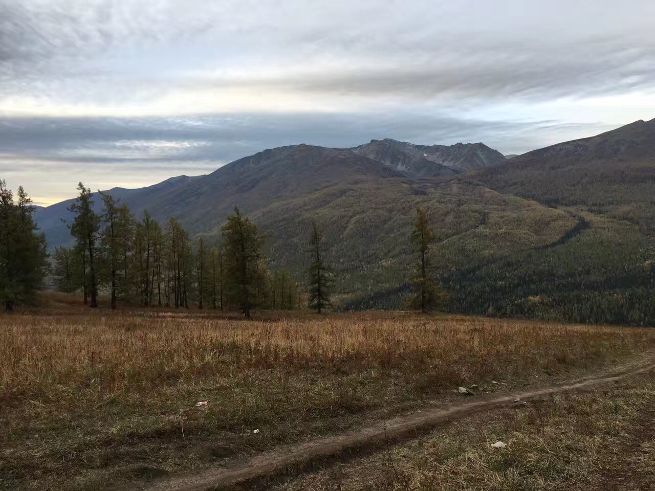 下山坡的野路