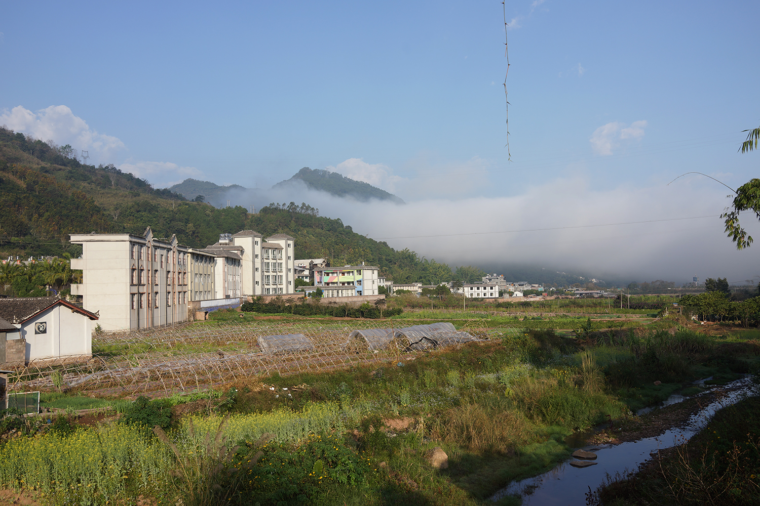 DSC00793.jpg