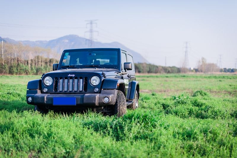 对于越野玩家来说，最适合进行专业化越野改装的就是从诞生时就以穿越荒野为目标的“硬派越野车”。在中国市 ...