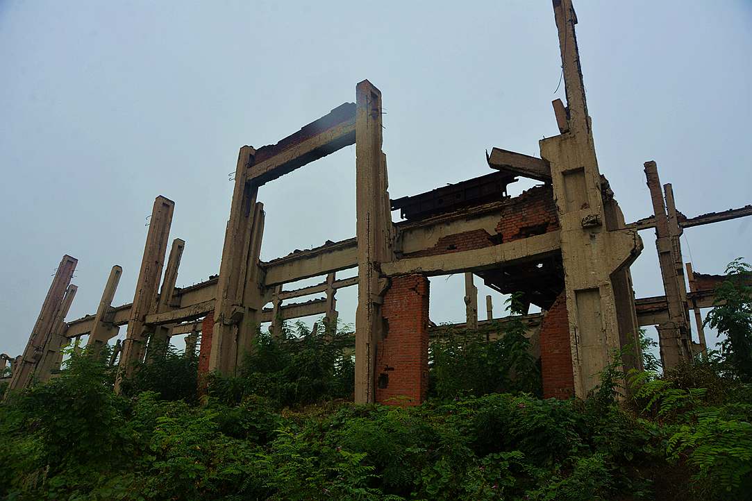 DSC_0221_副本.jpg