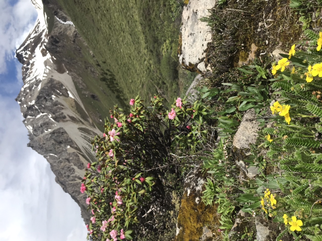 D351F028-AA65-44F1-B95B-E41BC7AC3C3B.jpeg