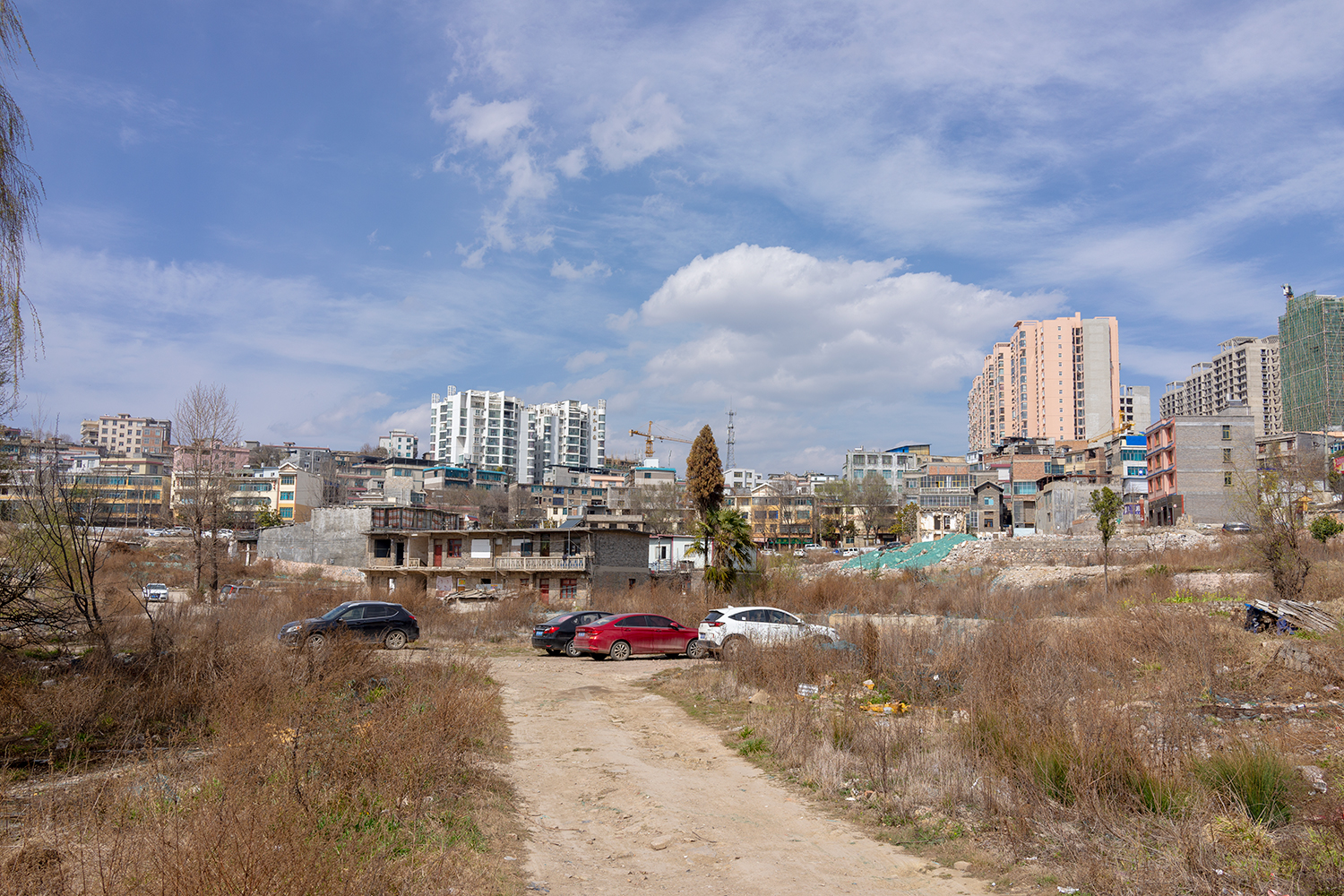 DSC01262.jpg