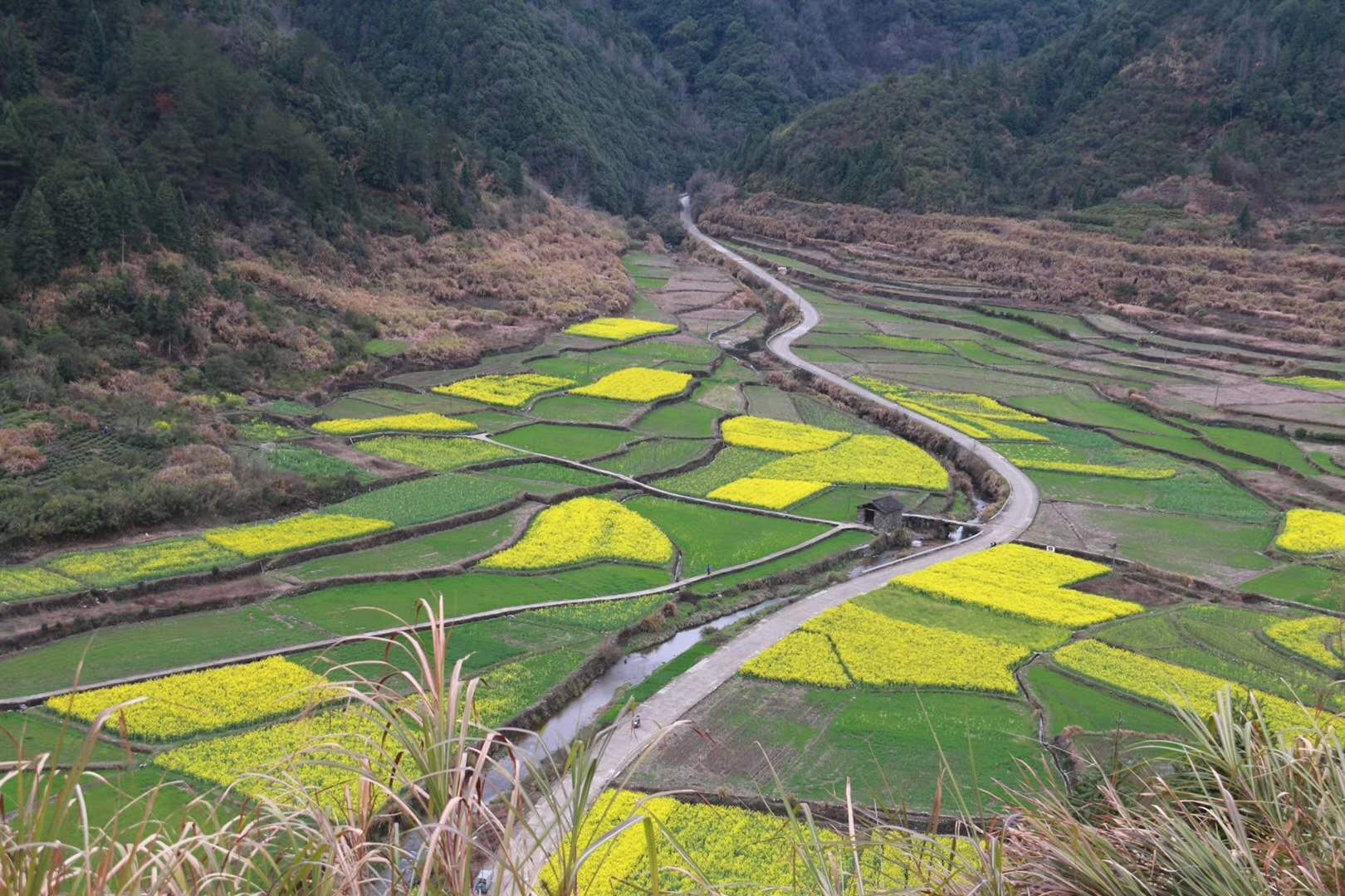 微信图片_20200309150001.jpg