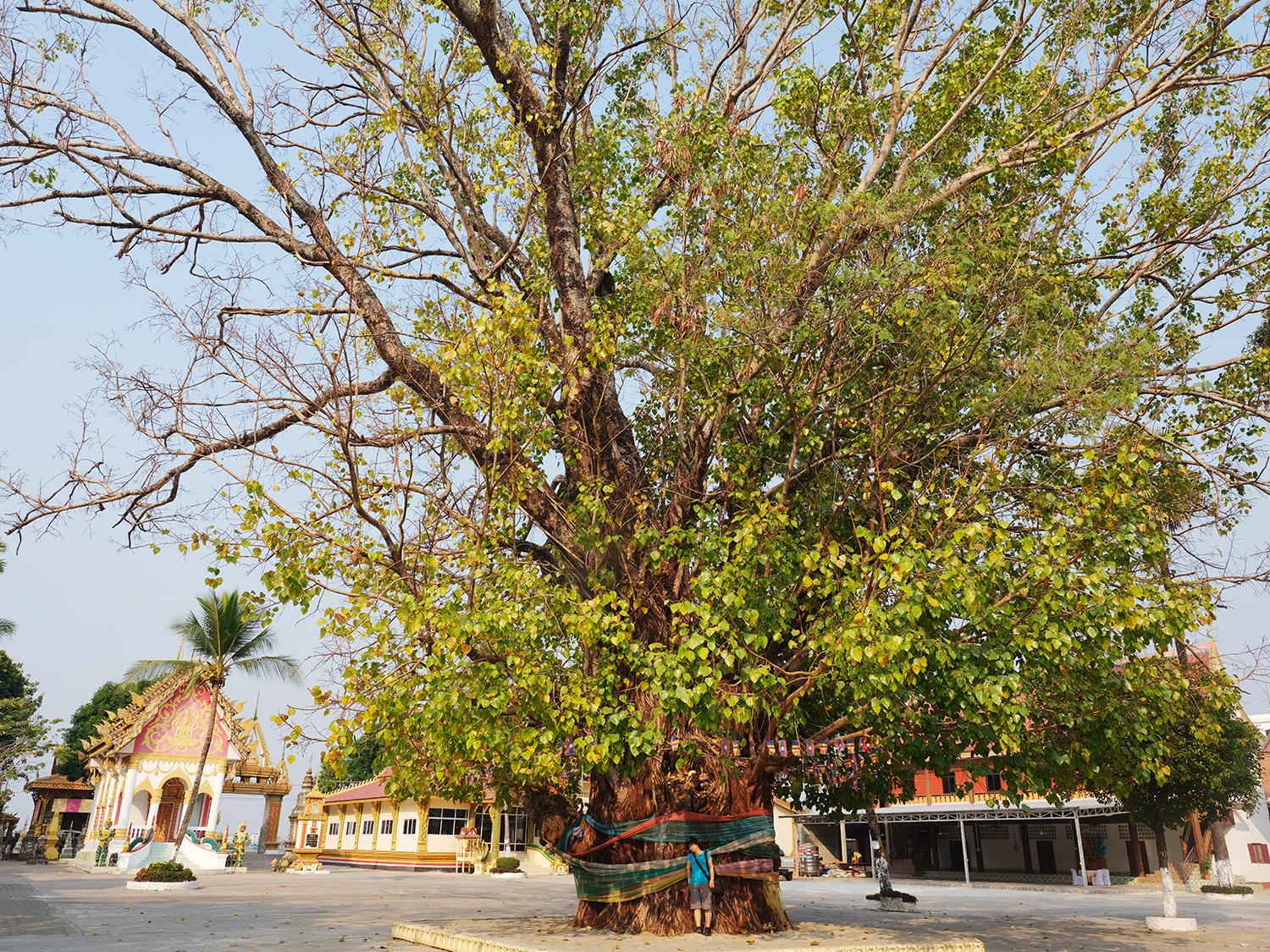 DSCF3356.jpg