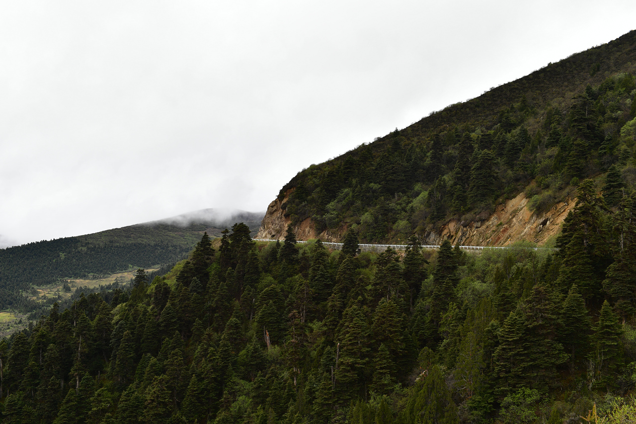DSC_7092.jpg