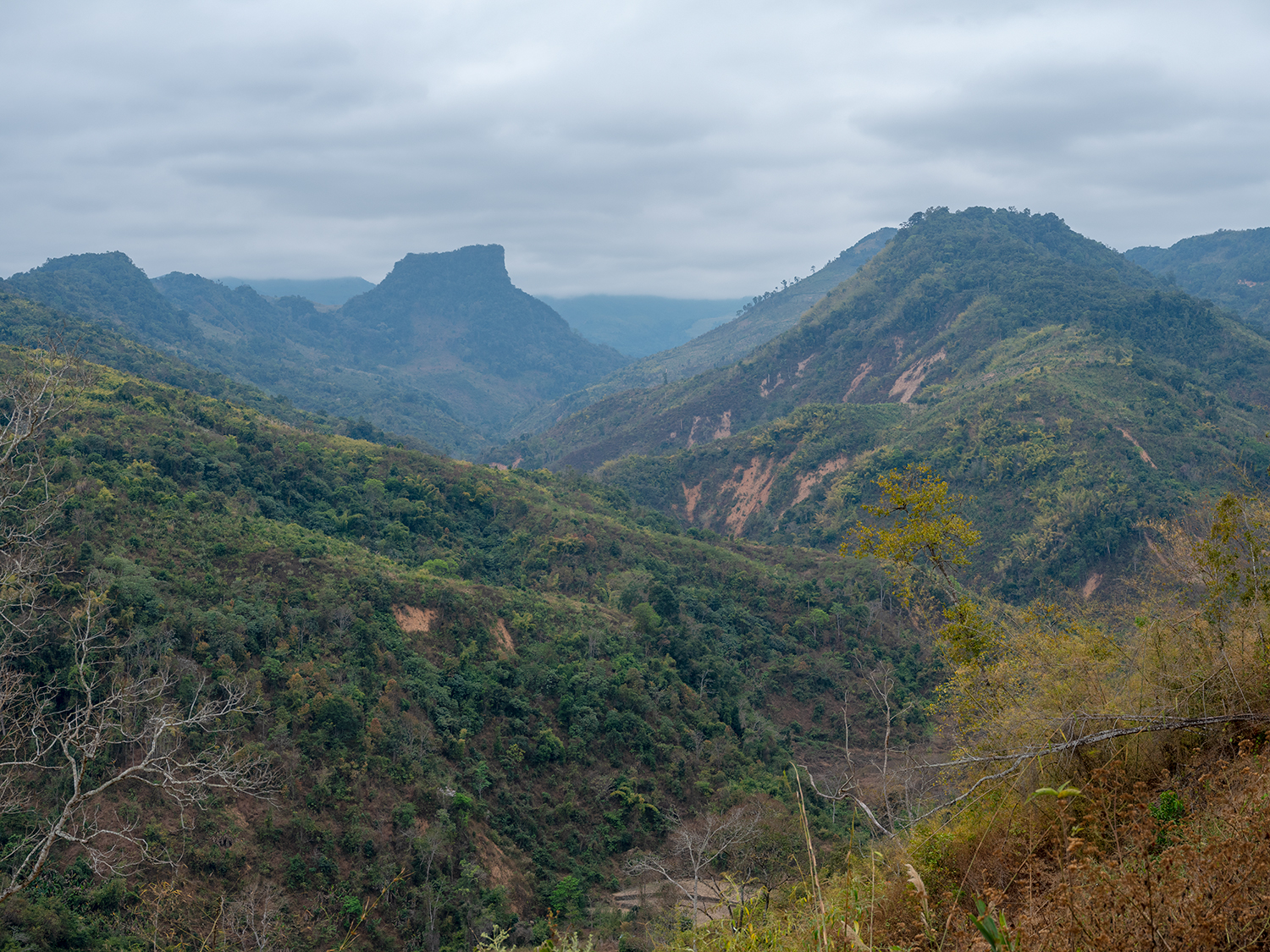 DSCF3800.jpg
