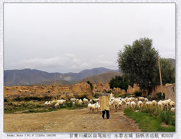 IMG_20200914_183111_1_副本.jpg