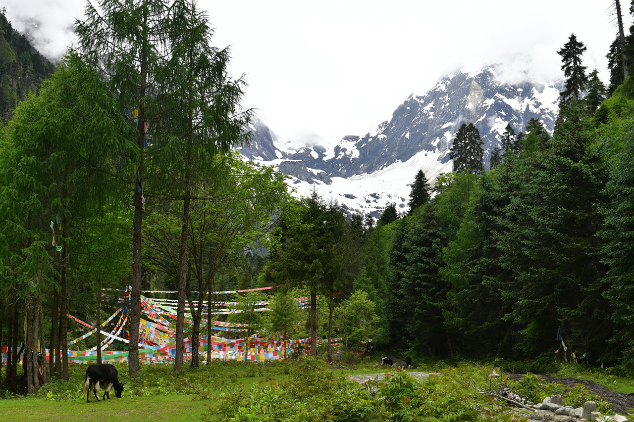 DSC_7149.jpg