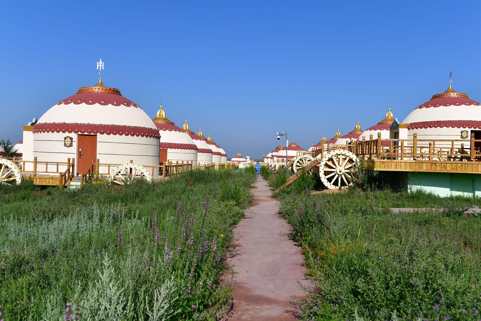 DSC_4306.jpg