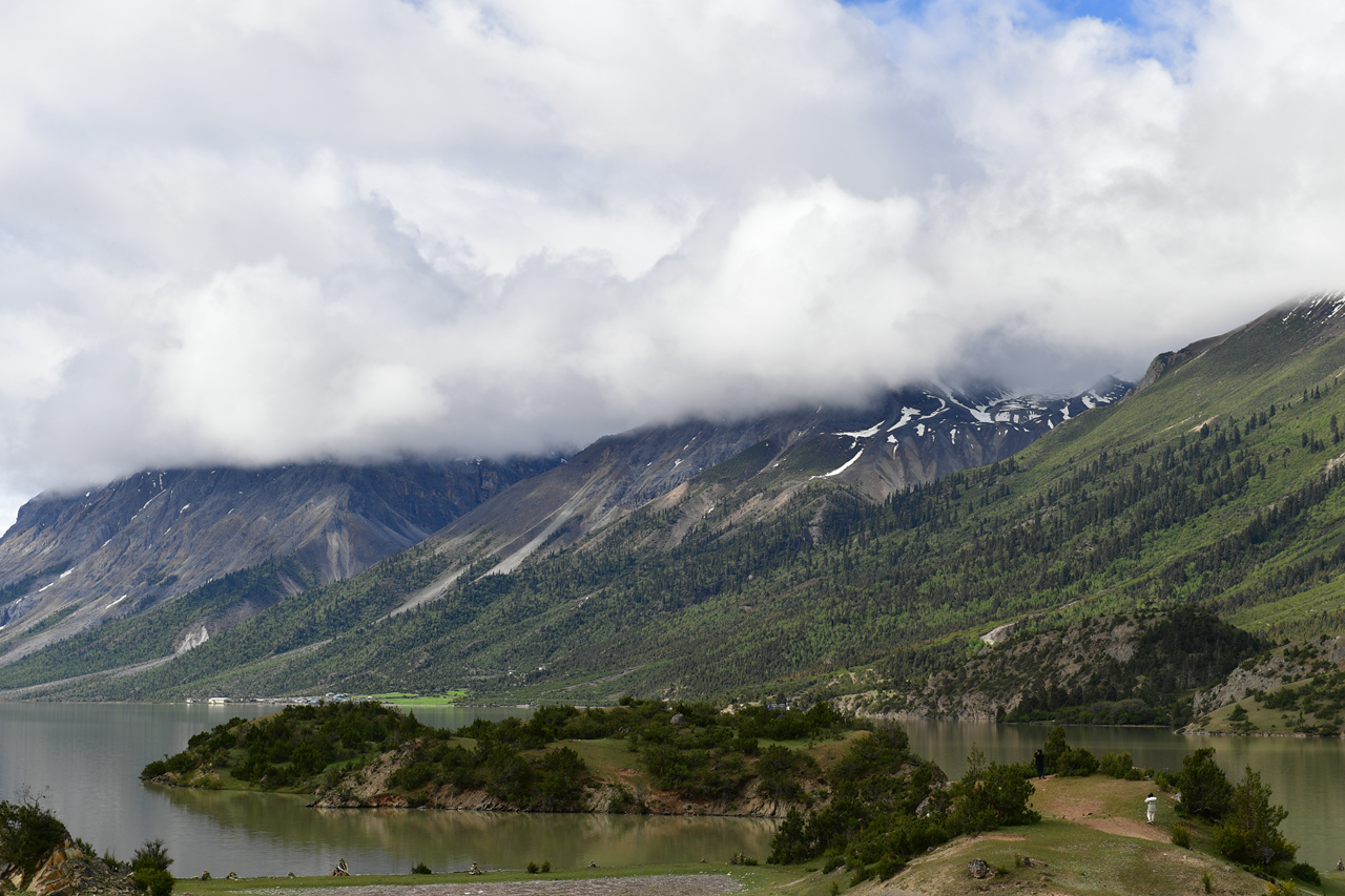 DSC_7185.jpg