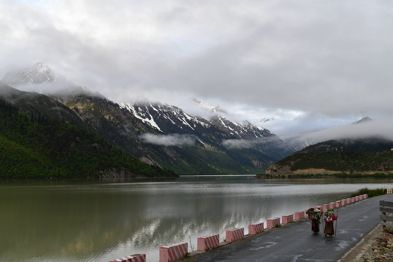 DSC_7155.jpg