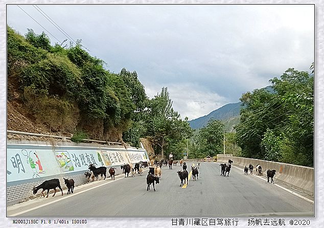 IMG_20200930_092708_副本.jpg