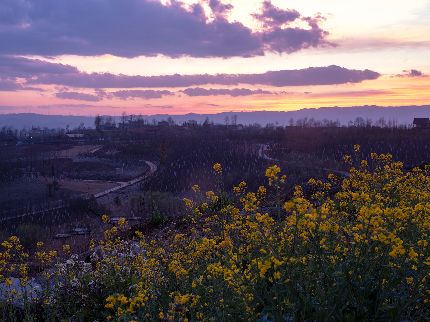 DSCF4331.jpg