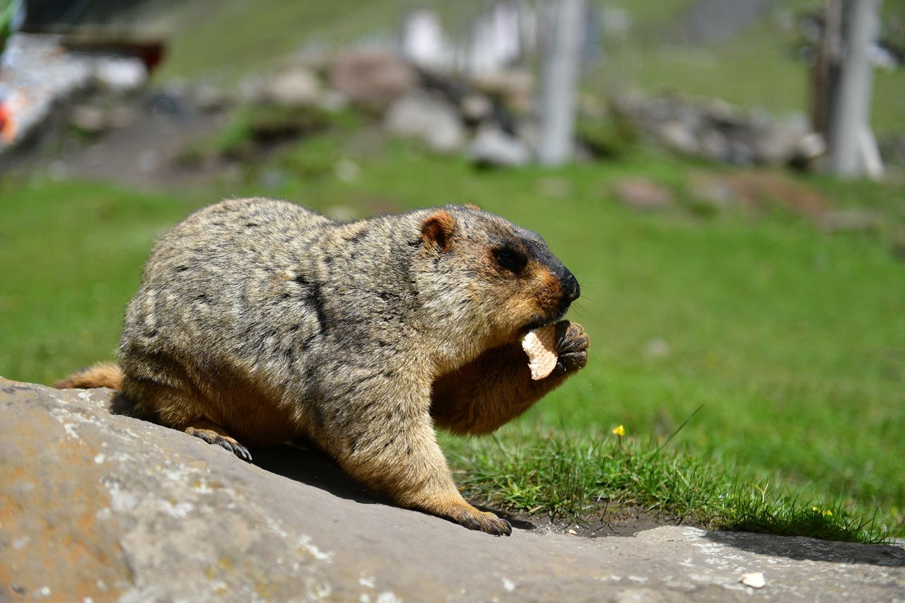 DSC_6789.jpg