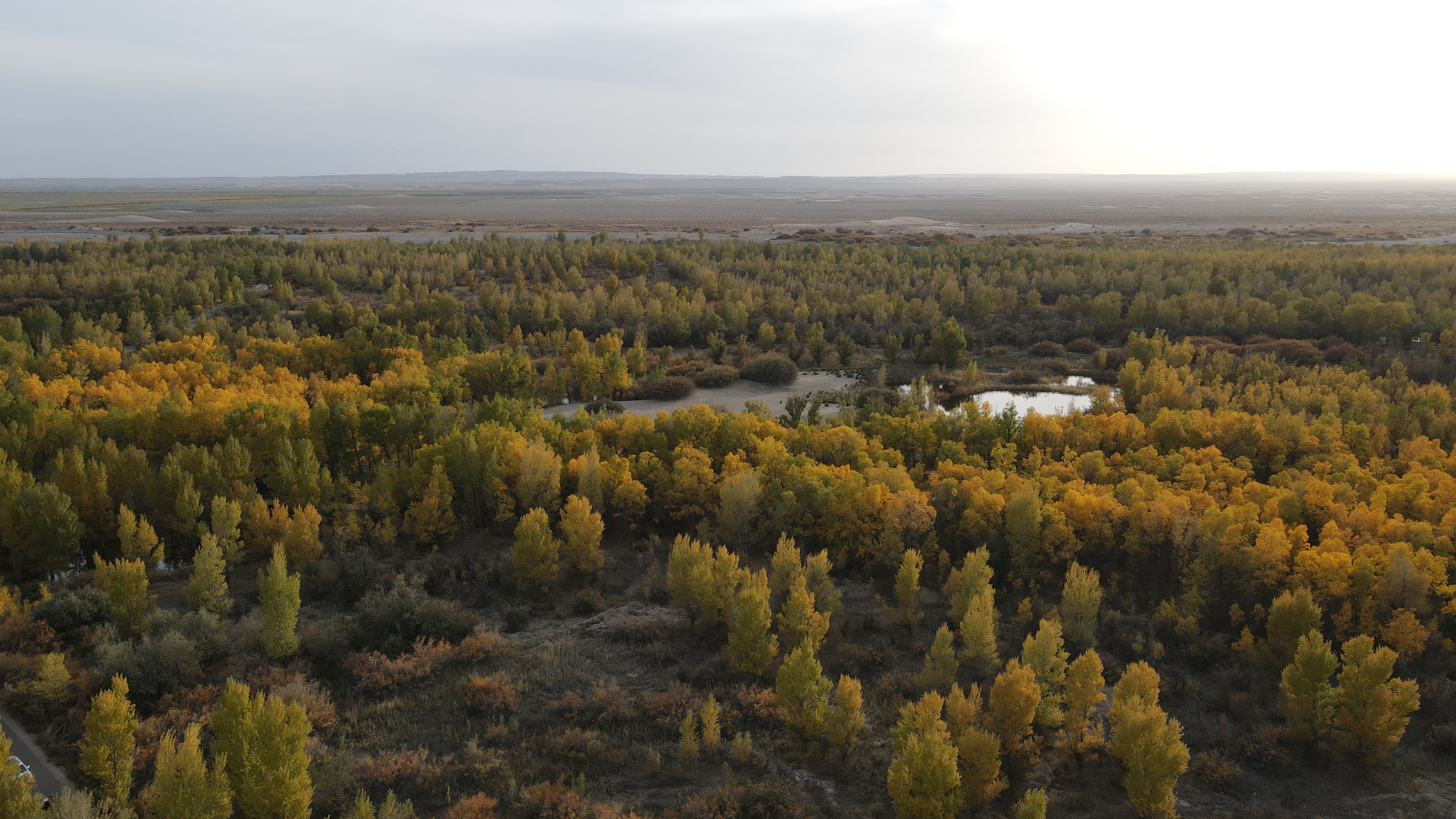 DJI_0096.JPG