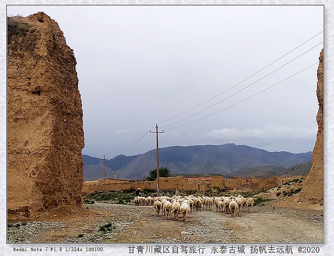 IMG_20200914_182921_1_副本.jpg
