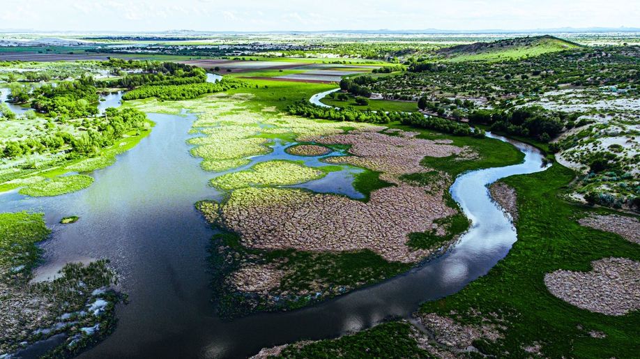 小山小河大庆一个也没有，再停下看看