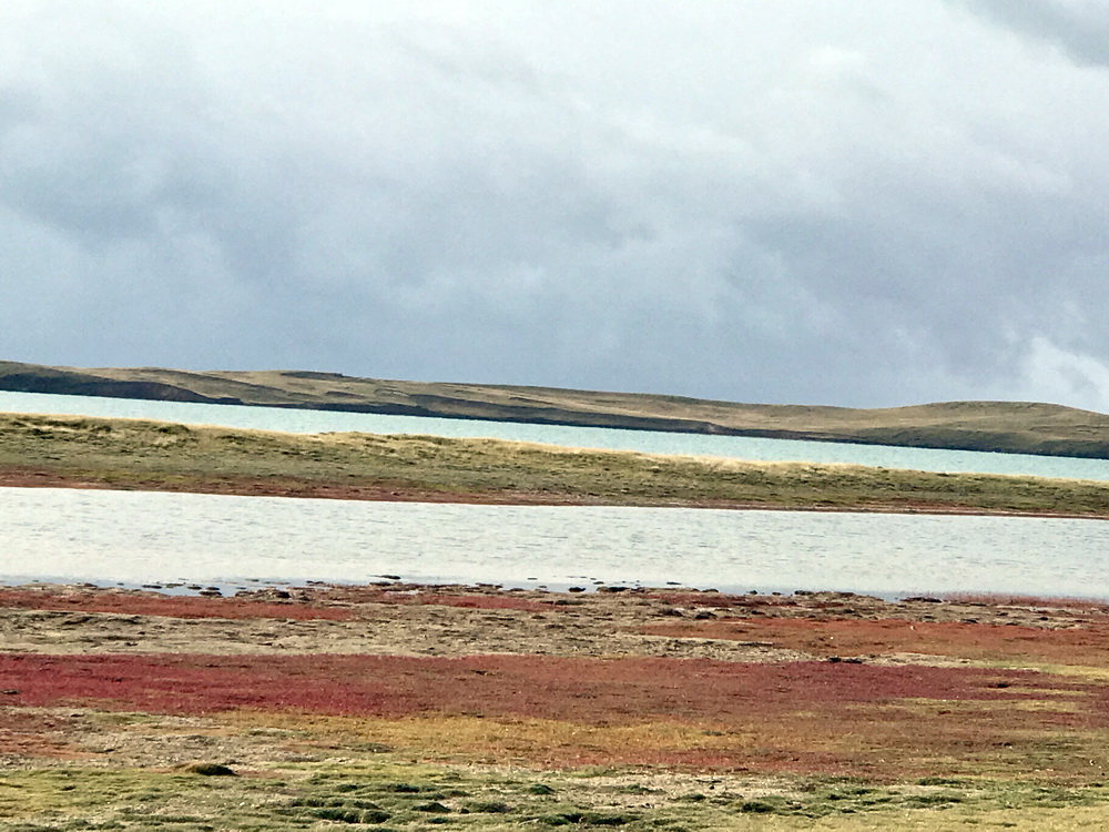 美丽的鄂陵湖畔。