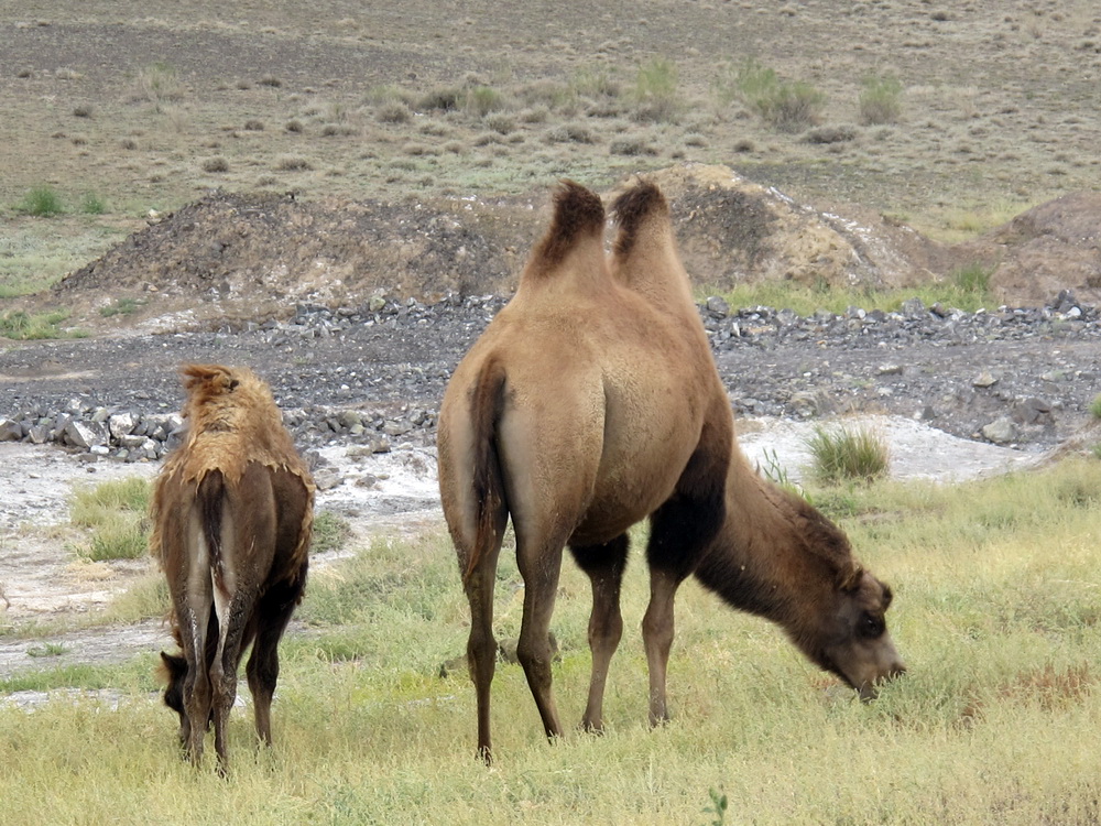 IMG_4662.jpg