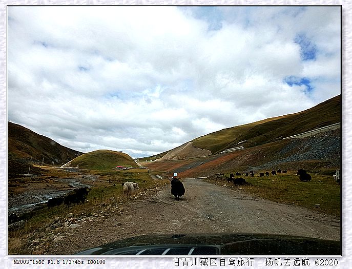 IMG_20200921_122034_副本.jpg