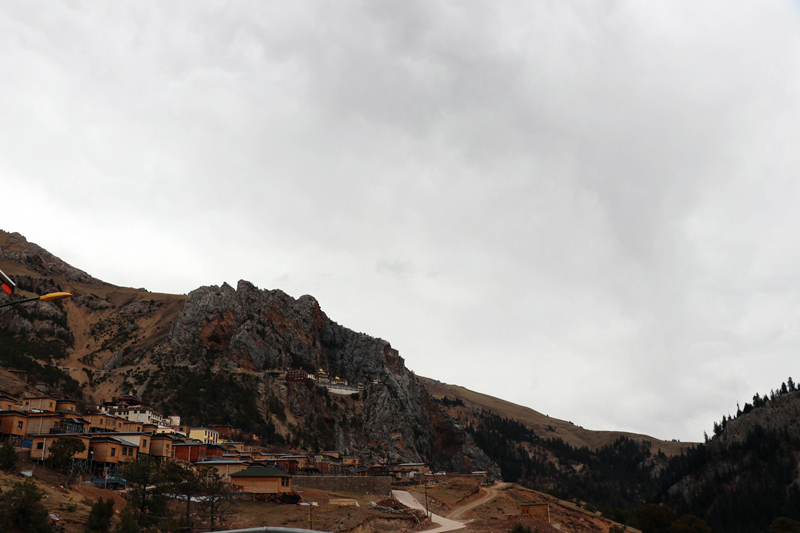 IMG_0221.JPG