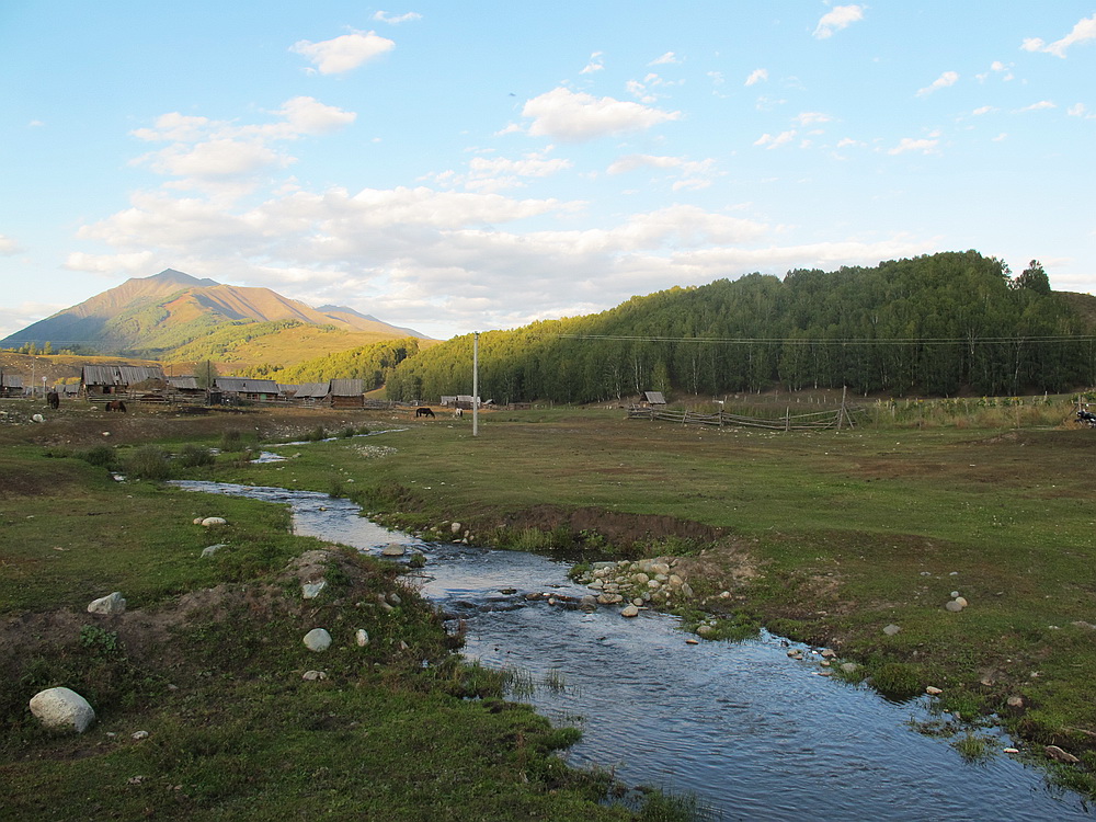 IMG_5069.jpg