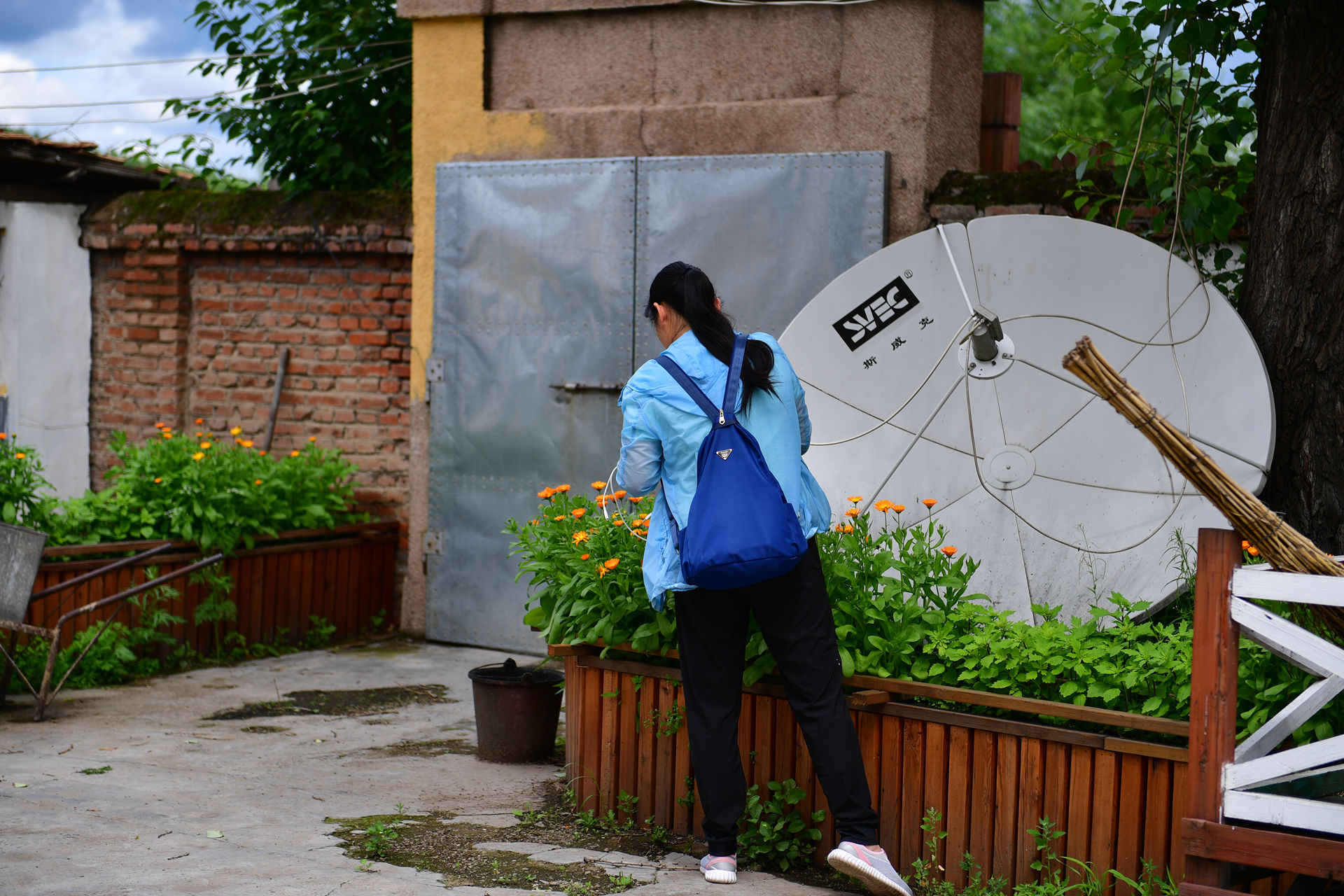 DSC_4956.jpg