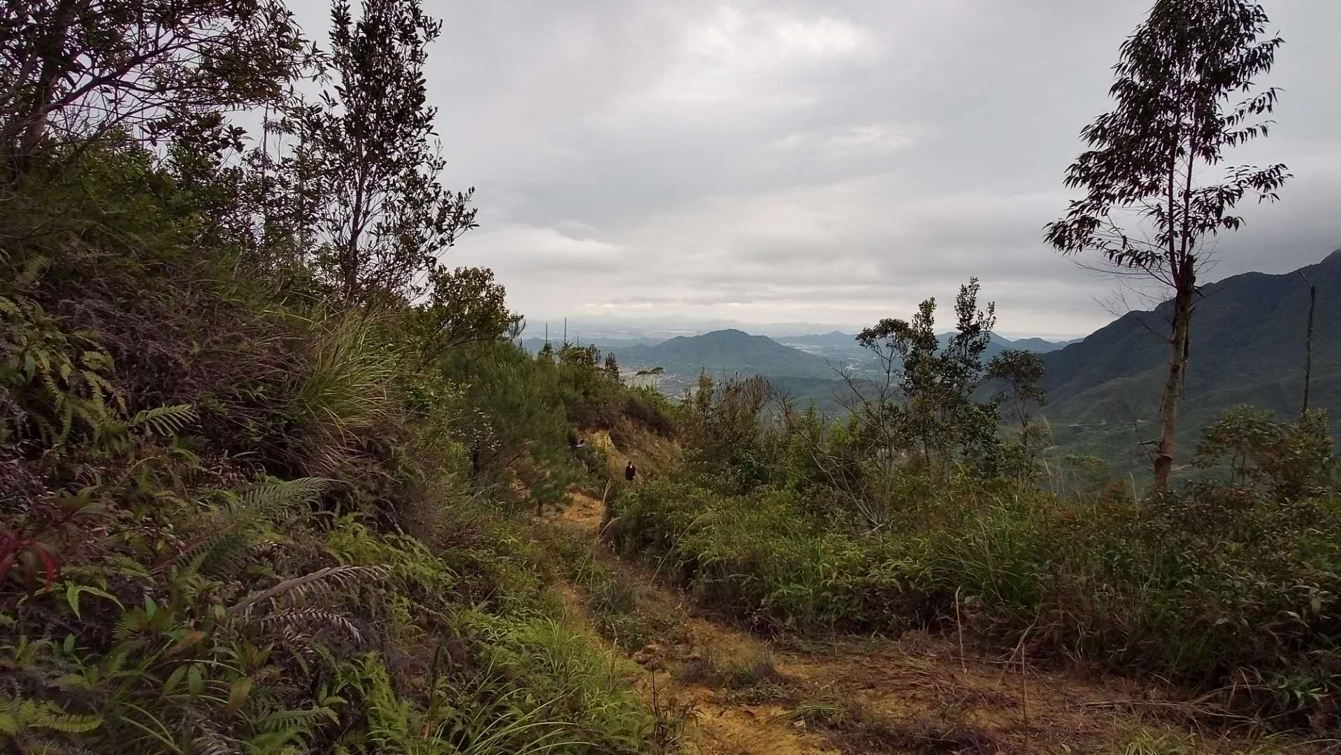 mmexport1586095429151.jpg